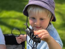 Biz Babies Little Explorers